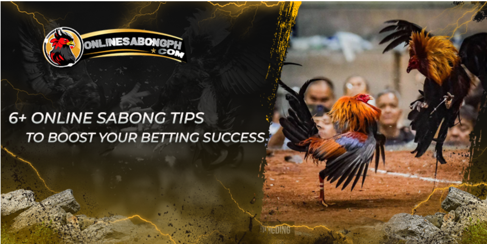 6+ Online Sabong Tips to Boost Your Betting Succes...
